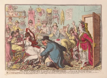 The Man of Feeling in Search of Indispensibles; a Scene at the Little French Milliners
