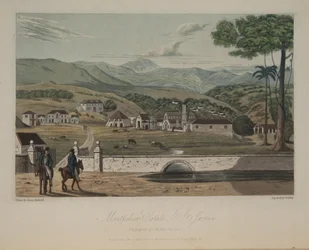 Montpelier Estate, St. James