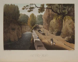 The Bog Walk