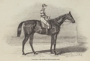 Sweetmeat, the Winner of the Doncaster Plate