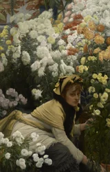 Chrysanthemums