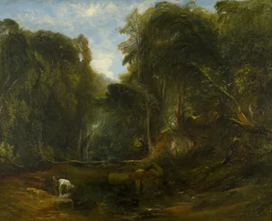 Nightingale Valley