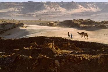 Camel with salt caravan members cross a desert plateau at Bilma, Niger