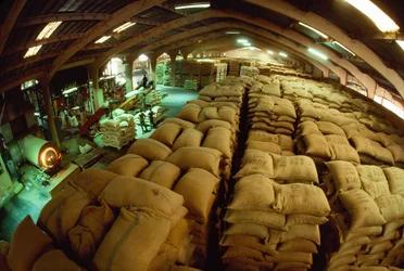 Sacks of cacao stacked up in a conditioning warehouse, Abidjan, Ivory Coast