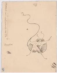 Butterfly "Encountered" (recto); Sketch for Tailpiece (verso)