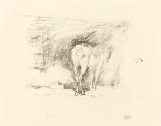 Study of a Horse