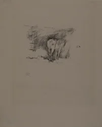 Study of a Horse