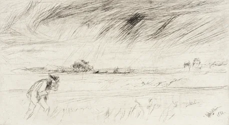 The Storm