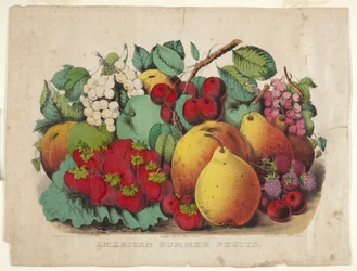 American Summer Fruit