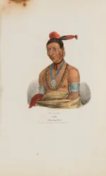 WA-KAUN or the Snake; A Winnebago Chief, from The Aboriginal Portfolio