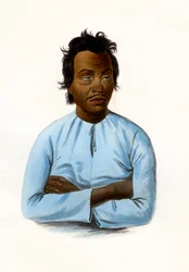 The Malay