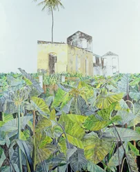 Ruin in a Swamp, Haiti