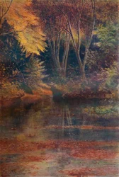 The Silent Pool