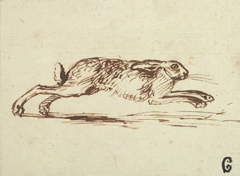A Hare Running, With Ears Laid Back