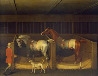 Race Horses owned by Ambrose Phillips