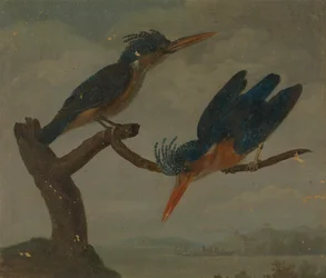 Two Kingfishers beside a Lake