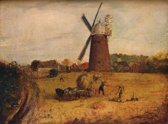 Harvest Scene