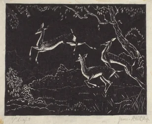 Flight