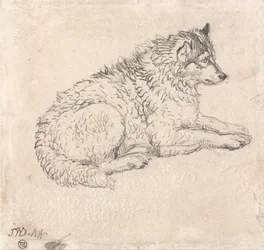 Arctic Dog, Facing Right