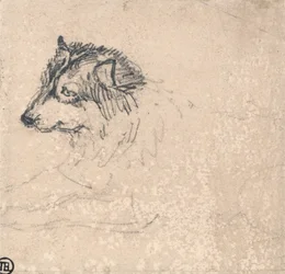 Arctic Dog, Facing Left