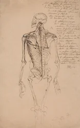 Drawing of a Man
