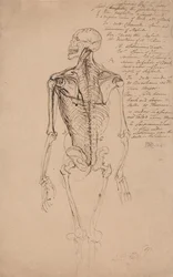 Drawing of a Man