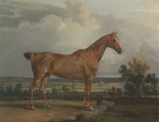 Hunter in a Landscape
