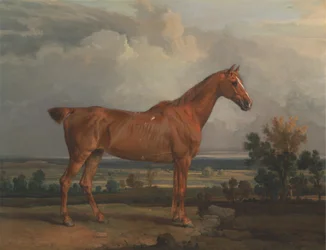 Hunter in a Landscape