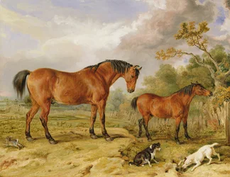 Portrait of Reformer, Blucher, Tory and Crib, the Property of Rowland Alston, Esq.