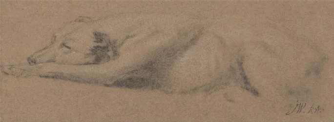 Study of a Sleeping Dog