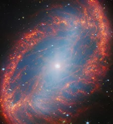 A Close Look at a Local Galaxy (NGC 2566)
