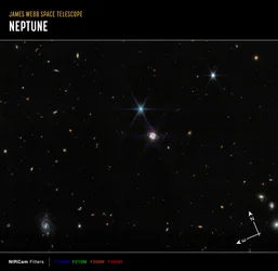 Neptune Wide Field