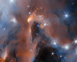 Peeking into Perseus (NGC 1333)