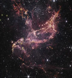 Protoplanetary Disks in NGC 346 (NIRCam Image)