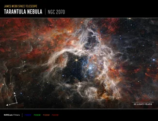 Tarantula Nebula