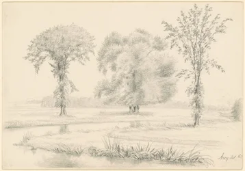 Landscape with Three Trees
