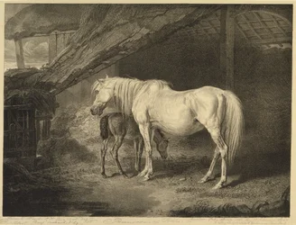 Primrose and Foal, from Celebrated Horses, a set of fourteen racing prints published by the artist, 1823-24