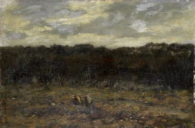 Fen on the Heath