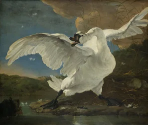 The Threatened Swan, c.1650