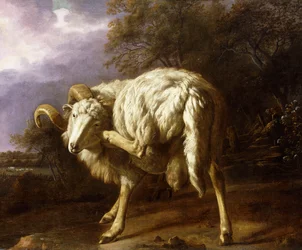 A Ram in a Wooded Landscape