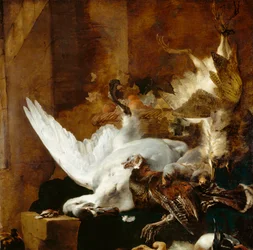Still life with a dead swan
