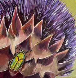 Beetle Below