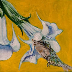 Hummingbird, 2023