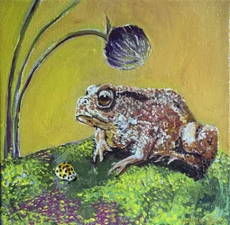 Toad