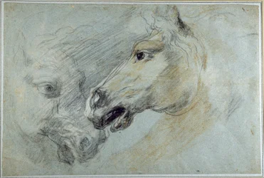 Two studies of a horse