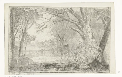 Park Landscape with Deer