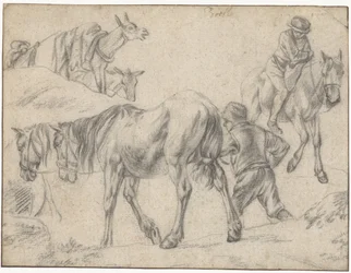 Study Sheet with Figures, Horses, and Donkeys