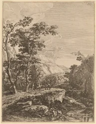 The Woman on the Hinny