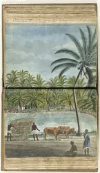 View of Ceylon with an ox cart, a crouching Sinhalese man and a Black court official