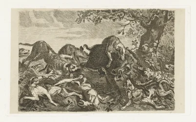 Hunting Dogs Chasing a Wild Boar